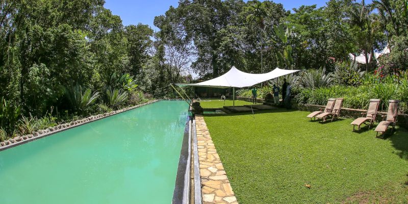 11TNGA-IM1111-ngare-sero-lodge-1475