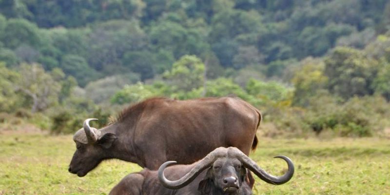 Arusha-National-Park-1024x450
