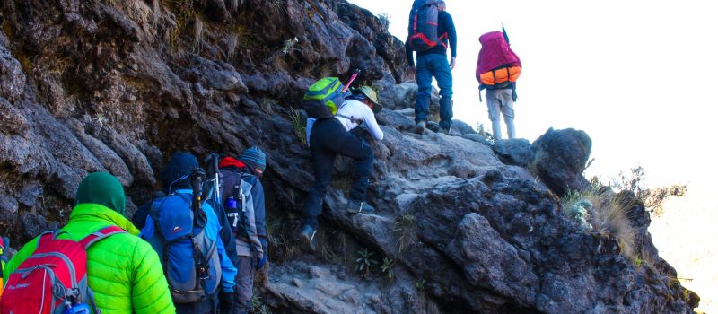 Kilimanjaro-Climbing-and-Hiking-Tours-10