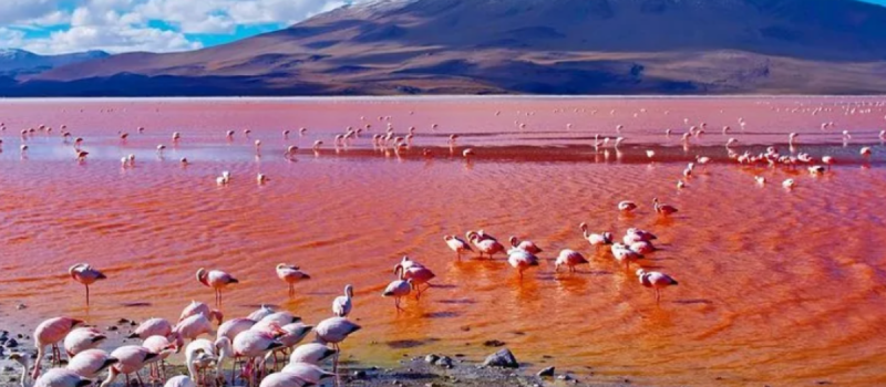Lake-Natron-Tanzania (1)