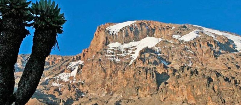 MountKilimanjaroNationalParkDayTrip