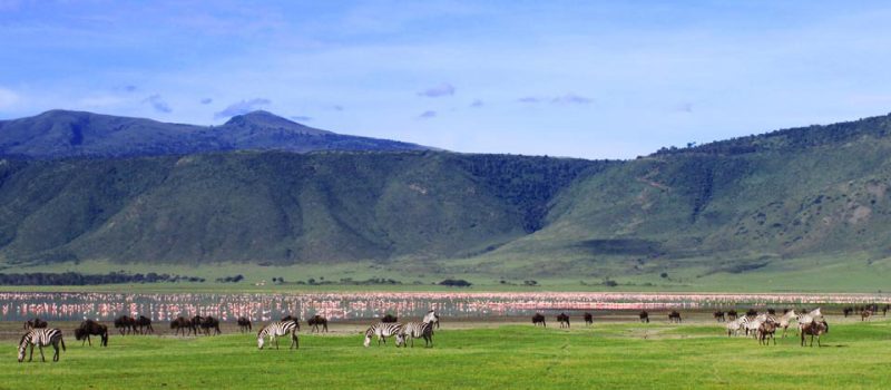 Ngorongoro_Crater_1-1.jpg