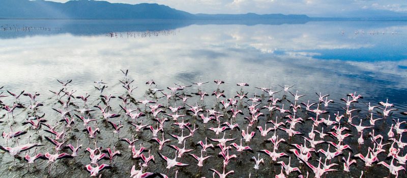 lake-manyara-banners