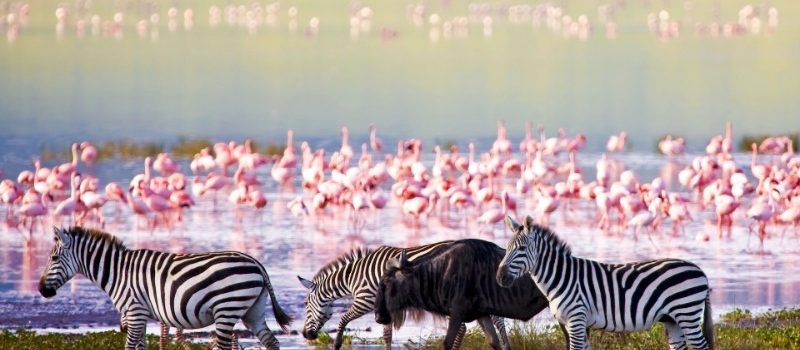 lake-manyara