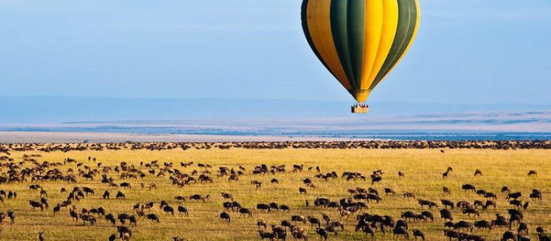 mara-ballooning-hot-air-ballooning-safari-786×416-1-750×416 mara-ballooning-hot-air-ballooning-safari-786x416-1-750x416