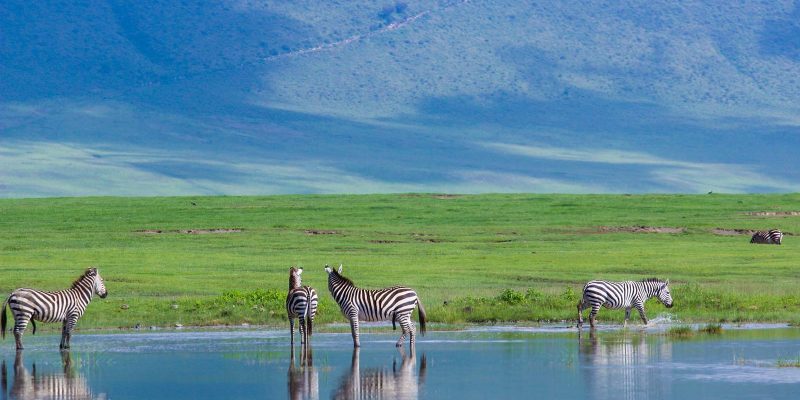 ngorongoro-crater