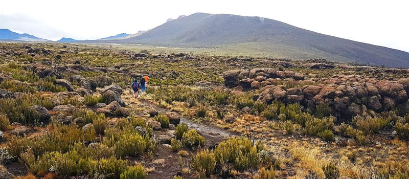 shira-plateau-hike